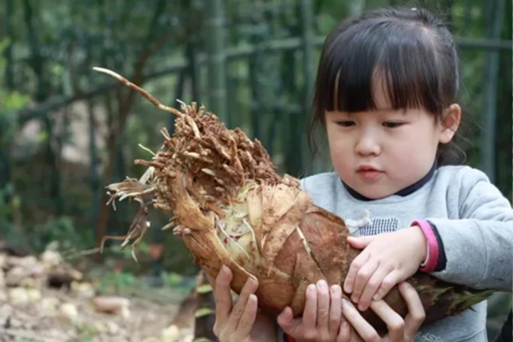 驭胜车主福利—亲子游渡假活动开始招募
