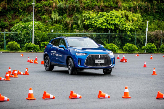 无惧严苛考验，见证P8驾趣硬实力