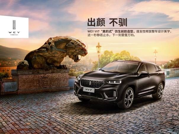 挑花眼的SUV市场 为什么不选合资品牌而选择他
