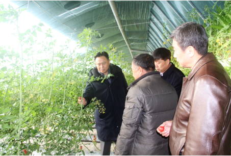 徐留平率中国一汽扶贫调研组赴镇赉县开展脱贫攻坚实地调研