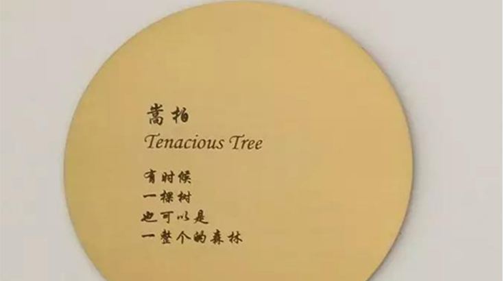 衡帕动力借壳达志科技 动力电池来了鲶鱼