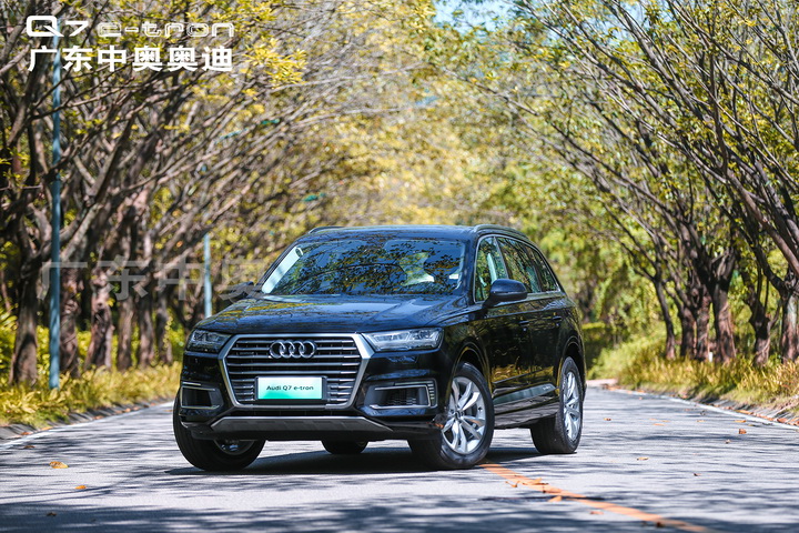 尊享“双免”政策，全新奥迪Q7 e-tron限量典藏版实拍解析