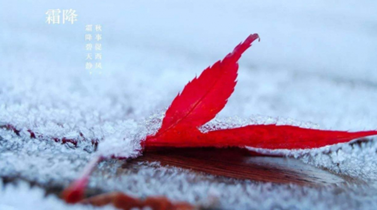 霜降金秋季 但有哈弗H6運(yùn)動版送鉅惠溫暖