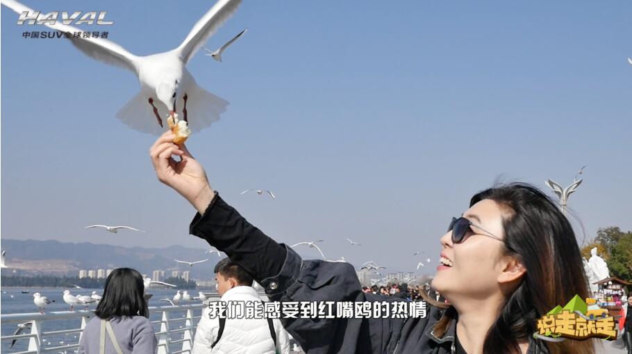 一城一路一旅途，零预算新哈弗H6 Coupe玩转昆明记