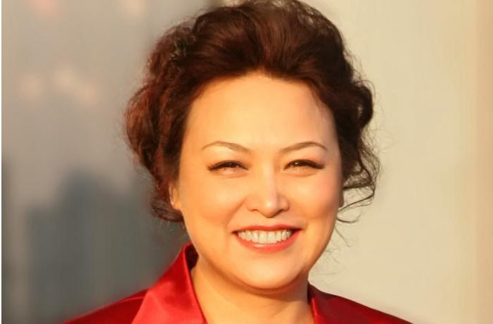 探寻中国汽车高质量发展和全球化路径全国人大代表王凤英提五项议案建议