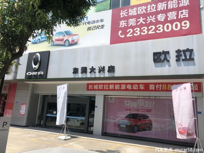 欧拉白猫上市会，7月26日东莞大兴邀你品鉴-图7