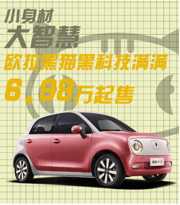 小身材大智慧，欧拉黑猫黑科技满满6.98万起售
