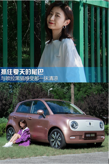 抓住夏天的尾巴 与欧拉黑猫感受那一抹清凉