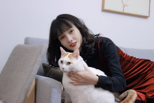 90后设计师成“喵女郎” 坚持4年照顾20多只流浪猫