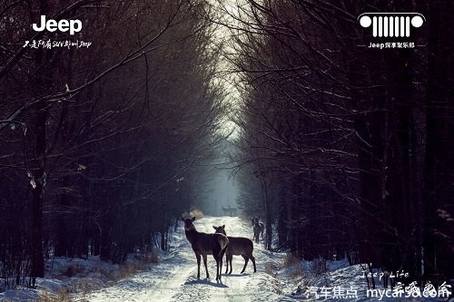 1610432738840013904.jpg 图片3.jpg