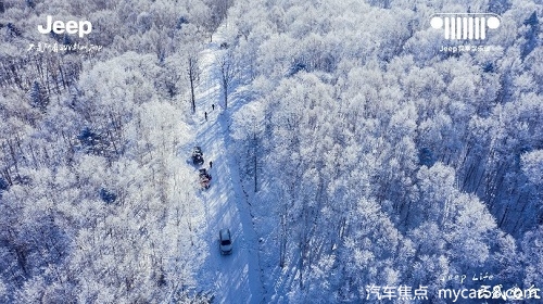 1610432729918064009.jpg 图片2.jpg