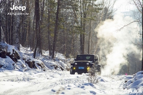 1610432801982056542.jpg 图片12.jpg