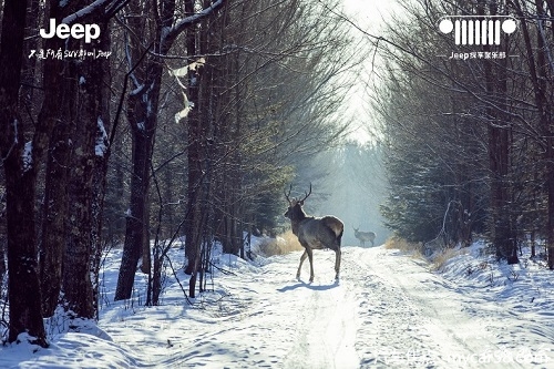 1610432792888053284.jpg 图片11.jpg