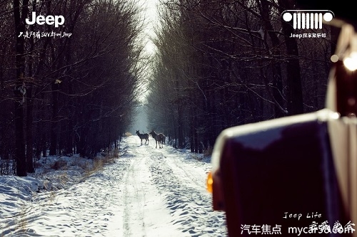 1610432787558019519.jpg 图片10.jpg