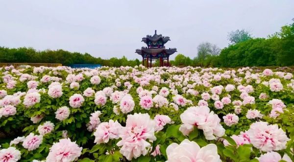 全球百余家媒体实力打call，爱驰U6让世界重新认识“中国智造”