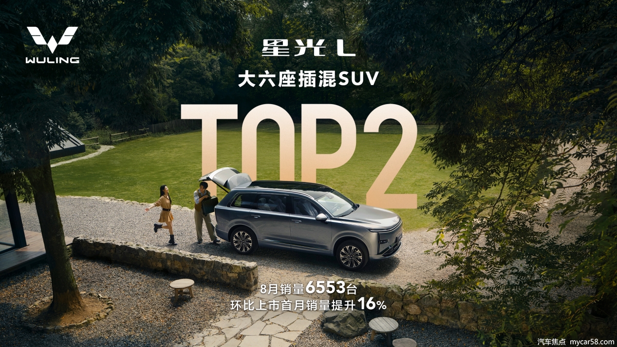 星光L斩获大六座插混SUV销量TOP2